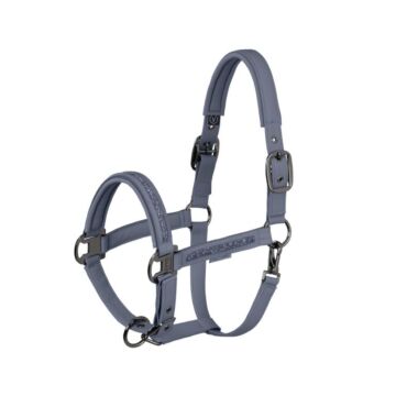 Halster Eskadron Platinum Faux Leather Jewel DP Slate Blue