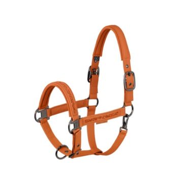 Halster Eskadron Platinum Faux Leather Jewel DP Amber