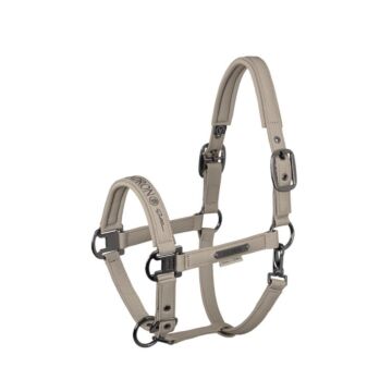 Halster Eskadron Platinum Sparkle Double Pin Pale Grey