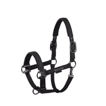Halster Eskadron Platinum Sparkle Double Pin Black