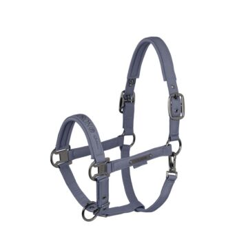 Halster Eskadron Platinum Sparkle Double Pin Slate Blue