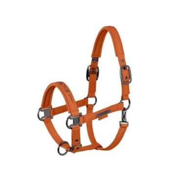 Halster Eskadron Platinum Sparkle Double Pin Amber