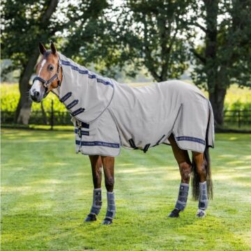 Vliegendeken LeMieux Kudos Gladiator Grey