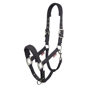 Halster LeMieux Soft Shell Cinder