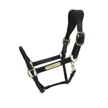 Halster Kentucky Anatomic Leather zwart