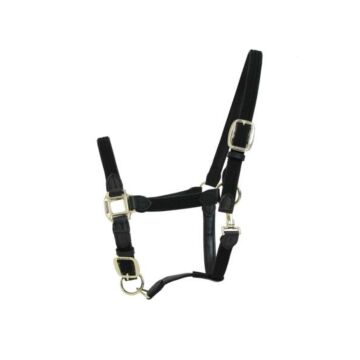 Halster Kentucky Gevlochten Nylon zwart