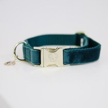 Halsband Kentucky Velvet blauw/groen