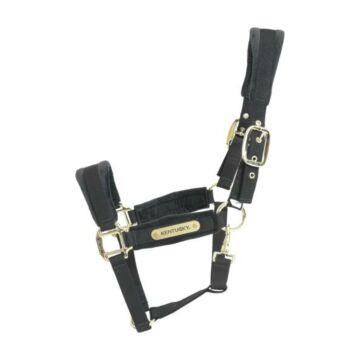 Halster Kentucky Velvet zwart