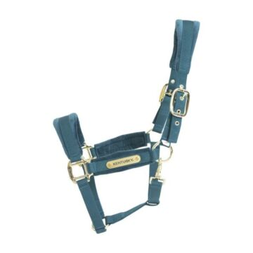 Halster Kentucky Velvet groen/blauw