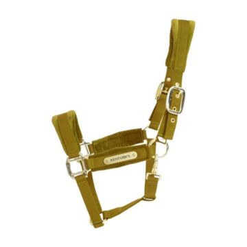 Halster Kentucky Velvet geel