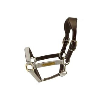 Halster Kentucky Nylon Anatomic bruin