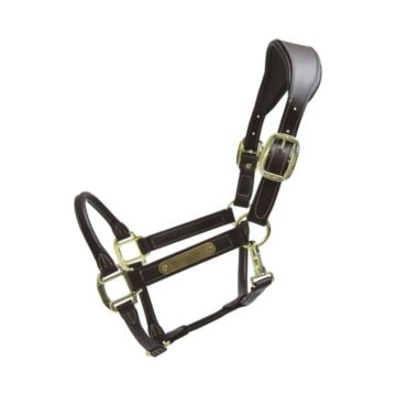 Halster Kentucky Anatomic Leather bruin