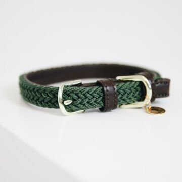 Halsband Kentucky Nylon groen
