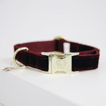 Halsband Kentucky Corduroy rood