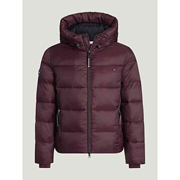 Jas Tommy Hilfiger Glendale Young Rider Deep Burgundy