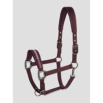 Halsterset Tommy Hilfiger Yale Deep Burgundy