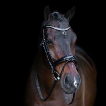 Hoofdstel Imperial Riding met engelse neusband Black Crystal