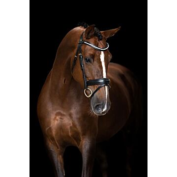 Hoofdstel Imperial Riding Gecombineerde neusriem eenvoudig Black