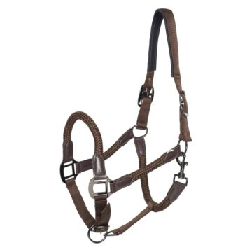 Halster Imperial Riding Laura Chocolate