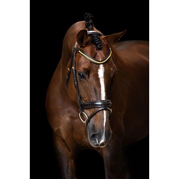 Hoofdstel Imperial Riding Gecombineerde neusriem eenvoudig Brown