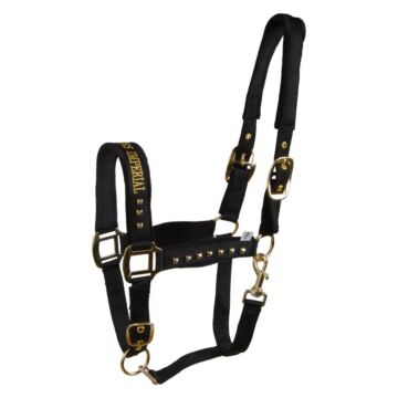 Halster Imperial Riding Devil Black 