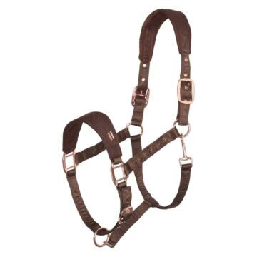 Halster Imperial Riding Cloud Dancer Brown