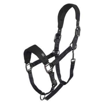Halster Imperial Riding Cloud Dancer Black