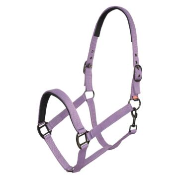 Halster Imperial Riding Classic Sport Amethist 