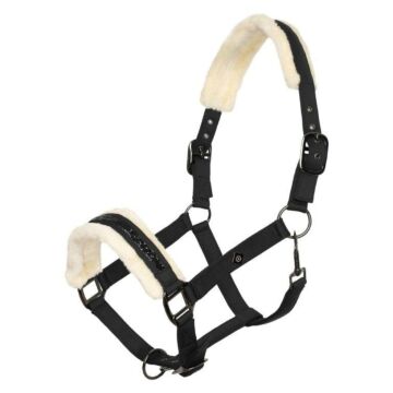 Halster Imperial Riding Jewel Black
