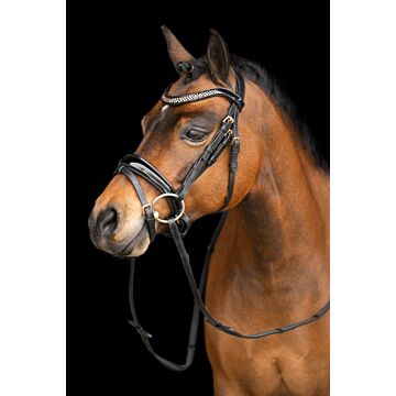Hoofdstel Imperial Riding Petit Black Rose 