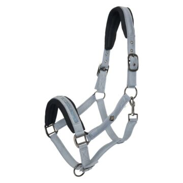 Halster Imperial Riding Jewel Mesh Moonstone