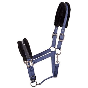 Halster Harry's Horse Lyrics Quotes Navy
