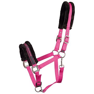 Halster Harry's Horse Lyrics Quotes Fuchsia