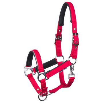 Veulenhalster Harry's Horse Metal Barberry