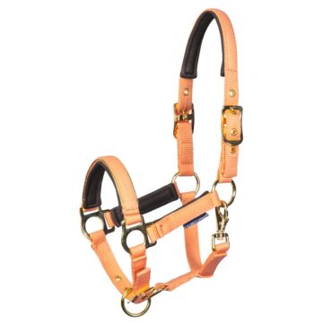 Veulenhalster Harry's Horse Metal Cadmium Orange