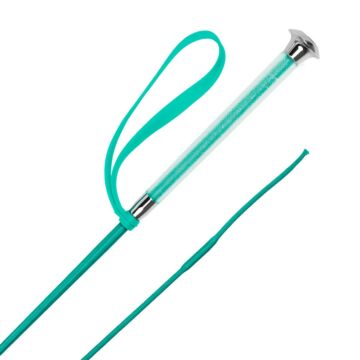 Rijzweep Harry's Horse Colour Turquoise