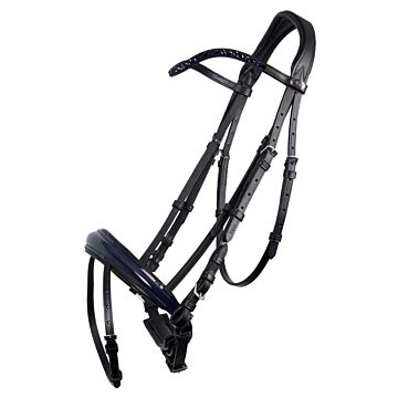 Hoofdstel QHP Chianti zwart/blauw