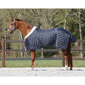 Staldeken QHP Classy Navy