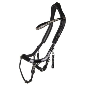 Hoofdstel PresTeq FaySport Shine Black