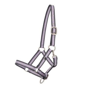 Halster QHP Collection Veulen Lavender haze