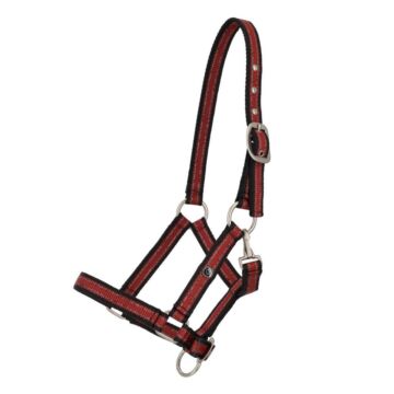 Halster QHP Collection Veulen Sunset red