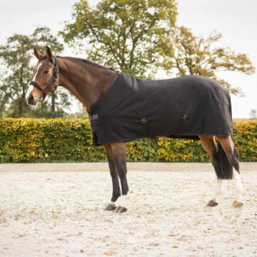 Showdeken QHP Avenna Black