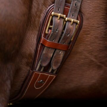Dressuursingel HV Polo Legacy Brown 