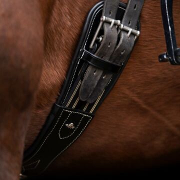 Dressuursingel HV Polo Legacy Black 