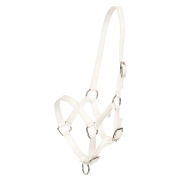 Veulenhalster HV Polo Nena White
