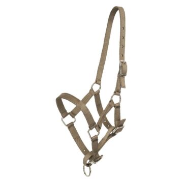 Veulenhalster HV Polo Nena Straw