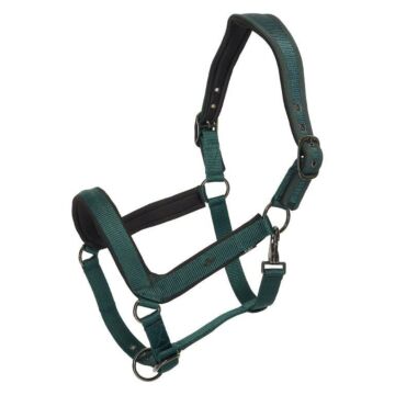 Halster HV Polo Essential Duck Green