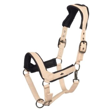 Halster HV Polo Esther Tan