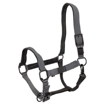 Halster BR Flint Quiet Shade
