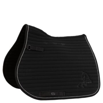 Zadeldek BR Eevolv Jens Meteorite